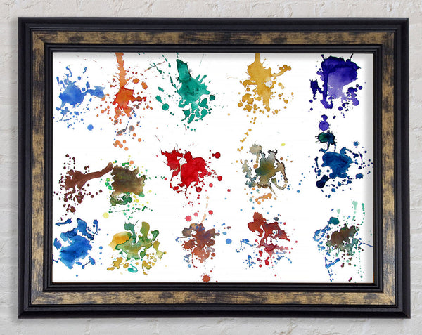 Whats Your Colour Framed Print