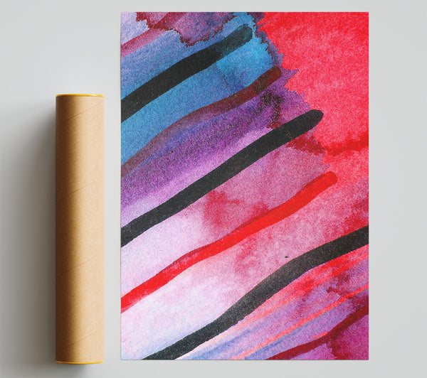 Wildlife Zebra Poster