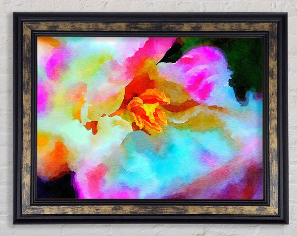 Orchid Beauty Framed Print