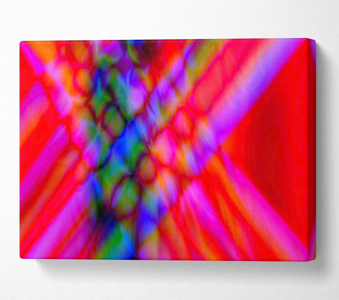  A Canvas Print of Crossing Paths Canvas Art