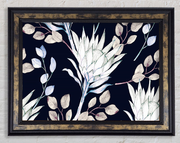 Looking For The Sun Framed Print