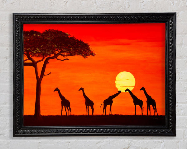Giraffes At The Sunset Framed Print