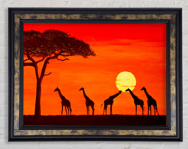 Giraffes At The Sunset Framed Print
