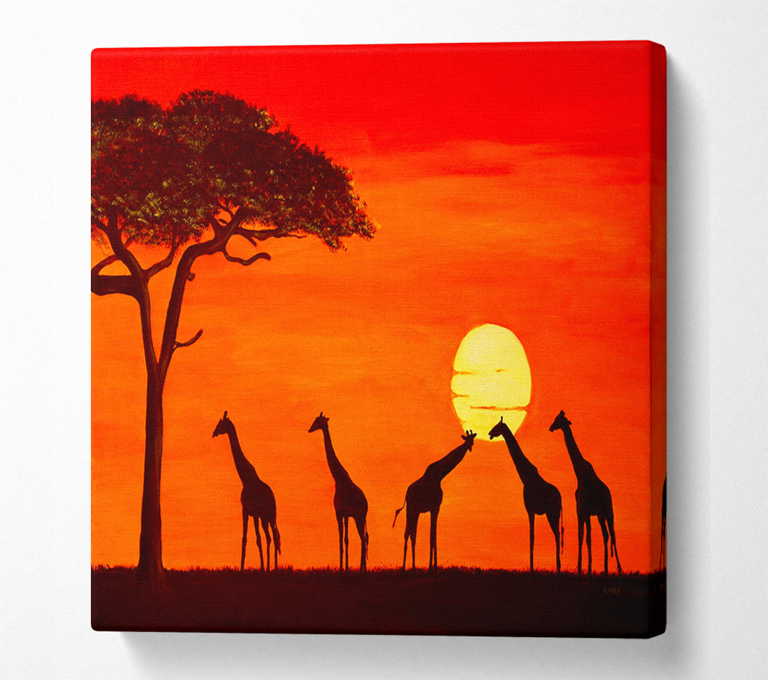  A Canvas Print of Giraffes At The Sunset Canvas Print