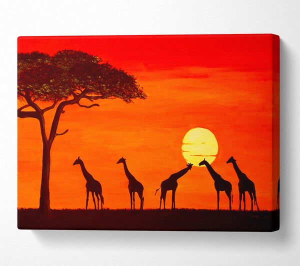  A Canvas Print of Giraffes At The Sunset Canvas Print