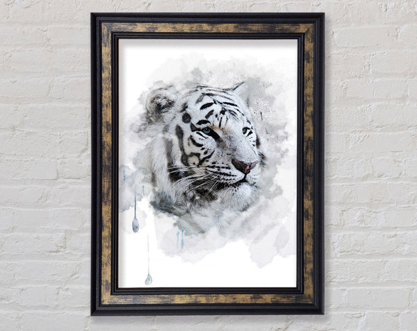 White Tiger Blue Eyes Framed Print