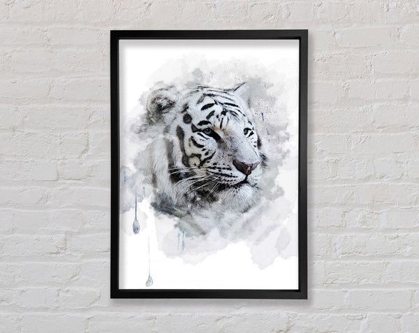 White Tiger Blue Eyes Framed Print