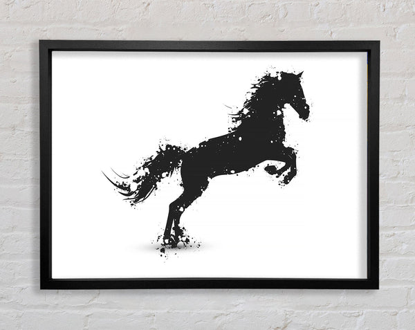 Stallion Horse Splendor Framed Print