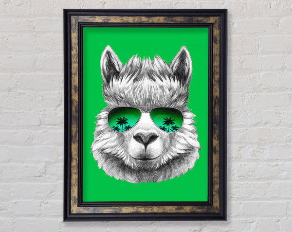 Llama Cool Framed Print
