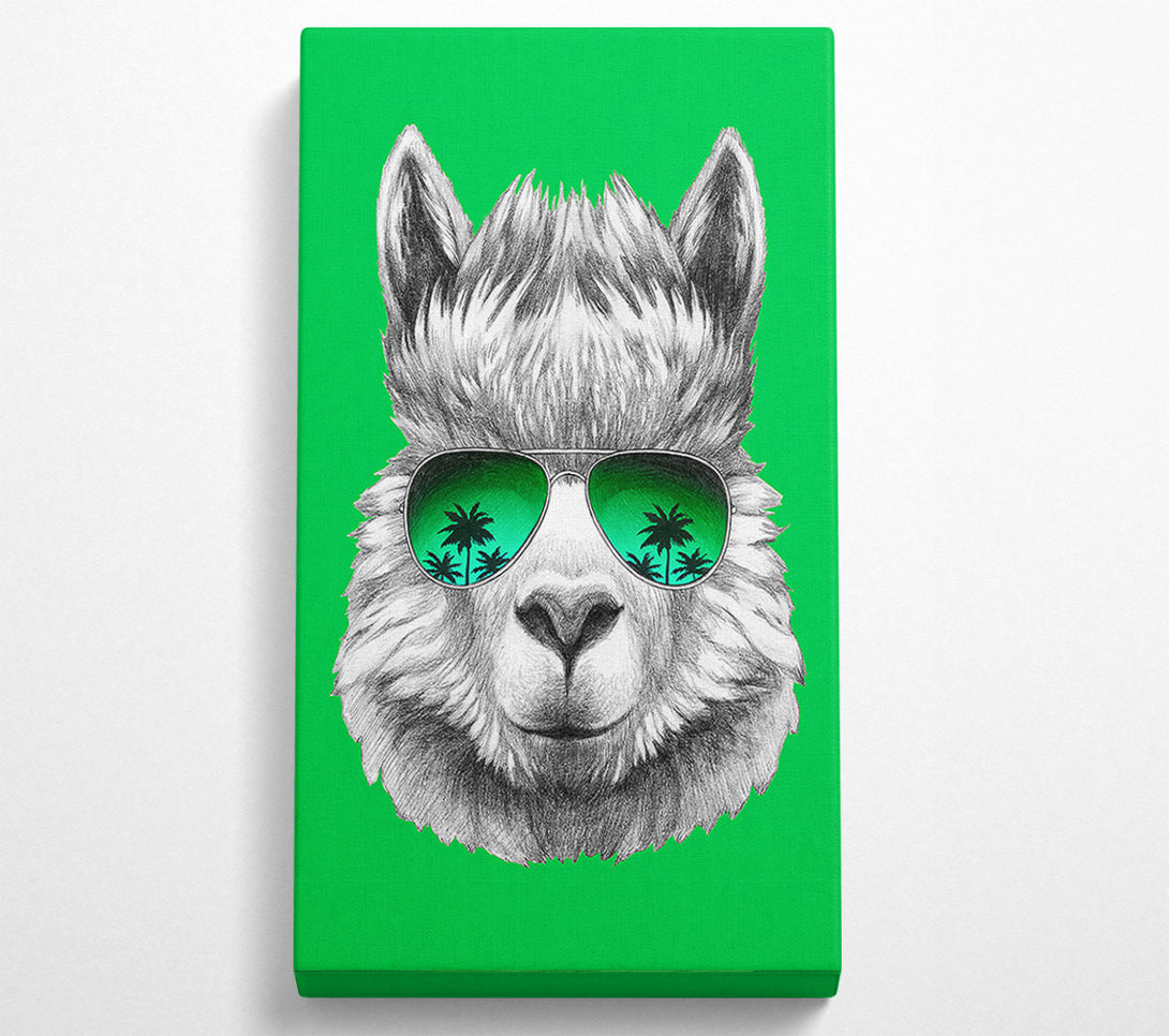 A Canvas Print of Llama Cool Canvas Wall Art