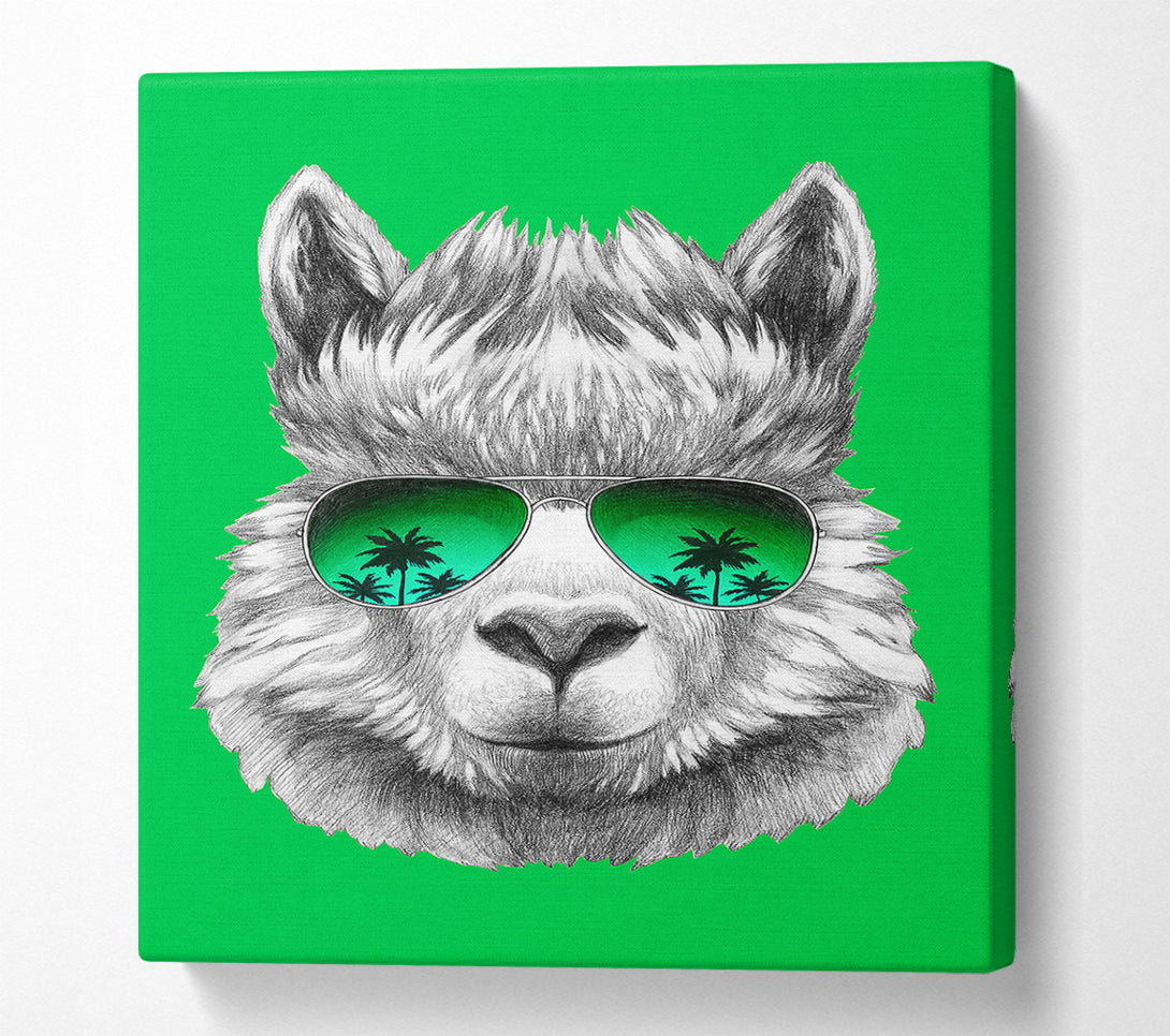  A Canvas Print of Llama Cool Canvas Wall Art