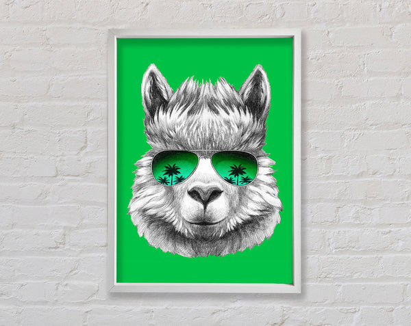 Llama Cool Framed Print