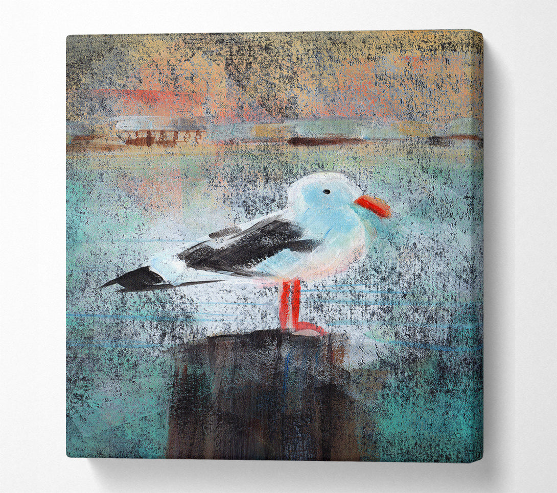  A Canvas Print of Seagull Perch Canvas Wall Art
