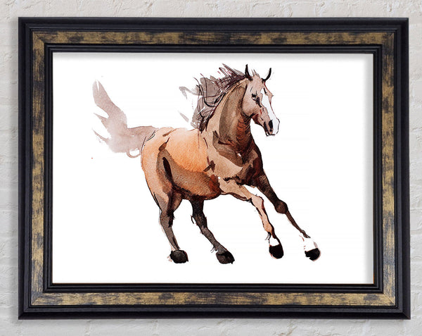 Running Horse Framed Print