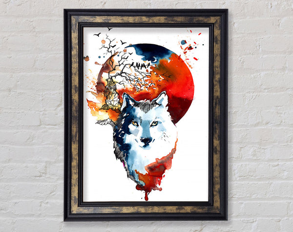 Wolf Sun Framed Print