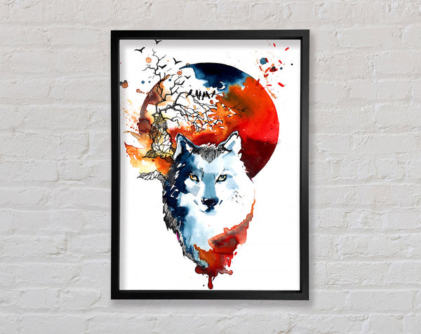Wolf Sun Framed Print