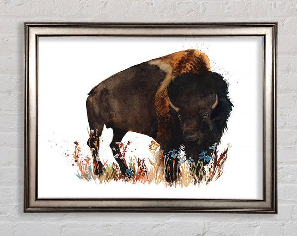 Bison Love Framed Print