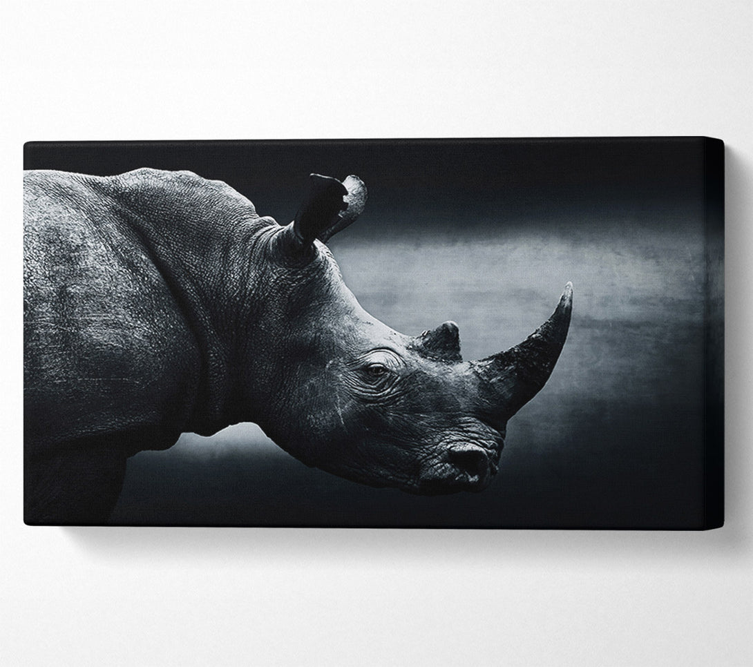  A Canvas Print of Rhinoceros Beauty Canvas Print