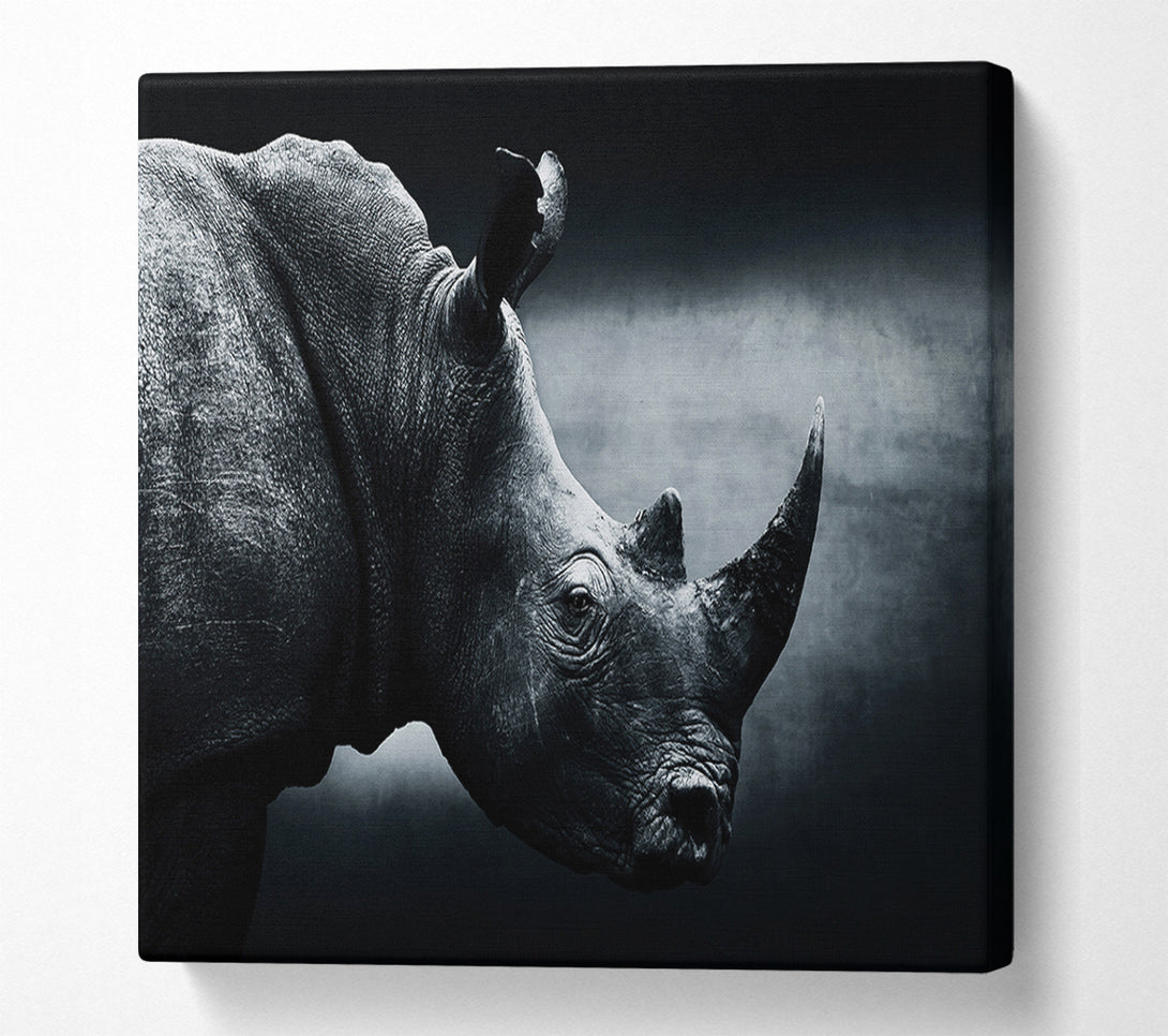  A Canvas Print of Rhinoceros Beauty Canvas Print