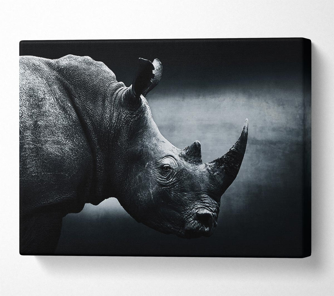  A Canvas Print of Rhinoceros Beauty Canvas Print