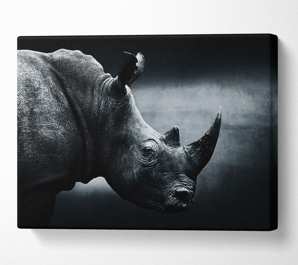  A Canvas Print of Rhinoceros Beauty Canvas Print