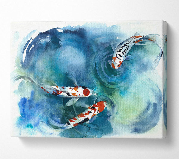  A Canvas Print of Koi Fish Teatime Canvas Art