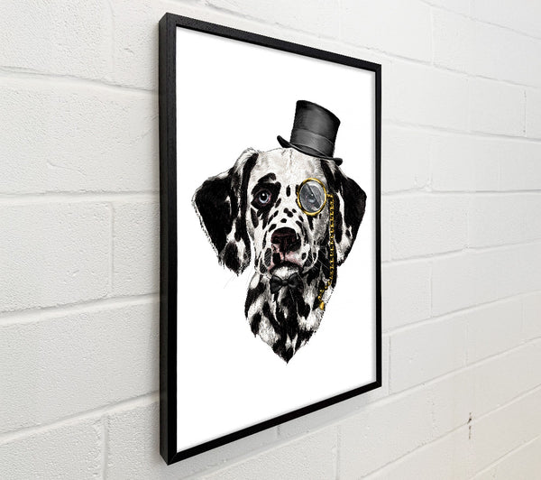 Clever Dalmation Dog