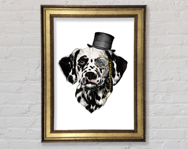 Clever Dalmation Dog Framed Print