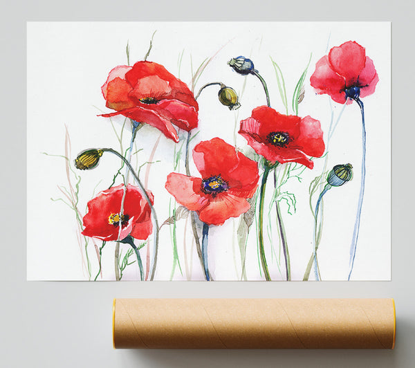 Poppy Magic Skies Giclee Print