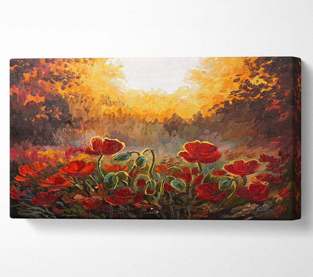  A Canvas Print of Poppies Finding The Sun Canvas Print