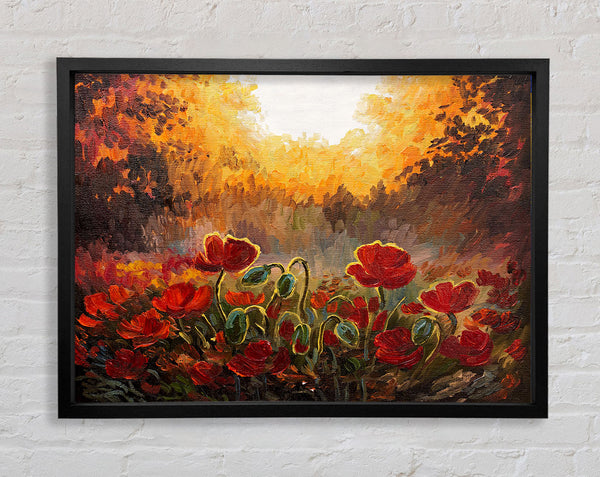 Poppies Finding The Sun Framed Print