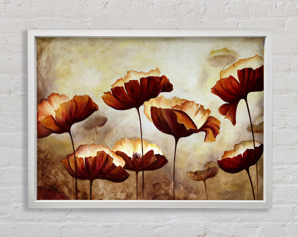 Chocolate Poppies Framed Print