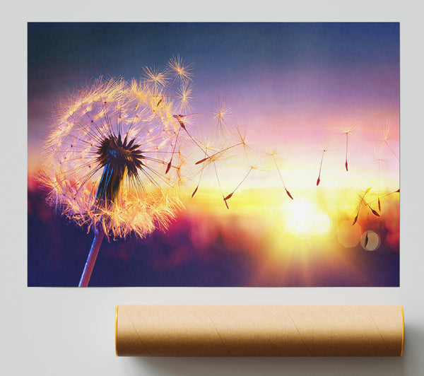 Whisper In The Sun Print
