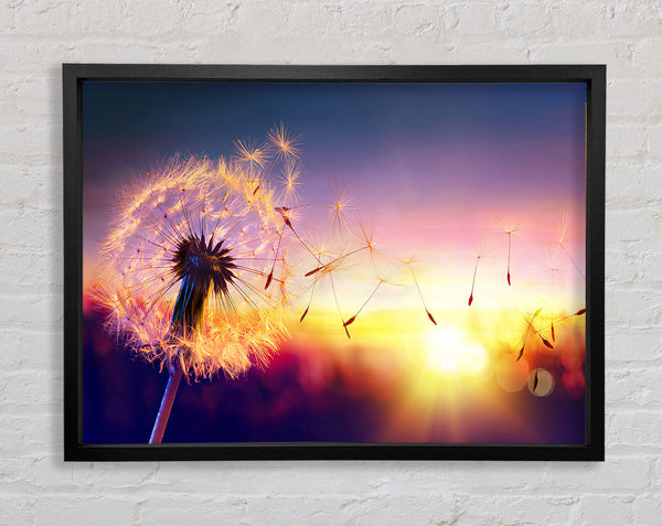 Whisper In The Sun Framed Print