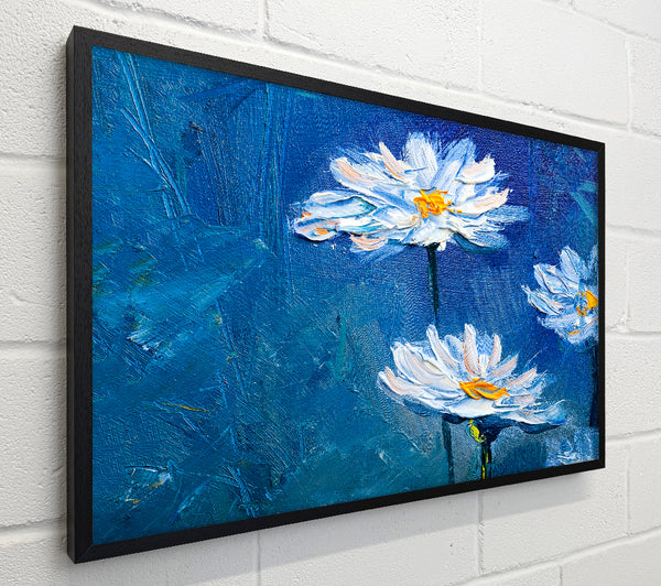 Daisy Midnight Blues
