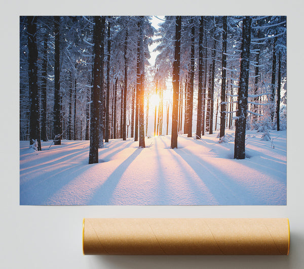 Sun Burst Snow Trees Print