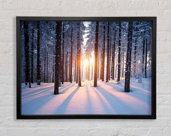 Sun Burst Snow Trees Framed Print