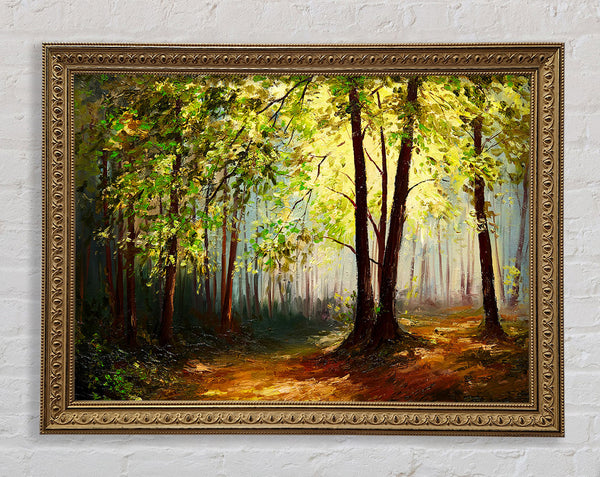Green Tree Sun Haze Framed Print