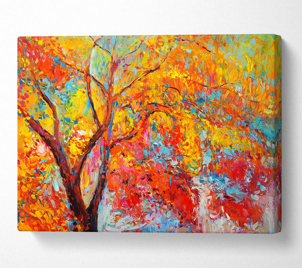 Stunning Orange And Red Autumn Tree