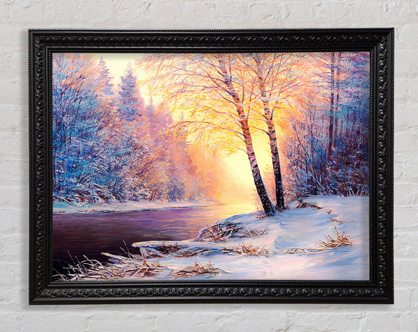Iced Winter beauty Framed Print