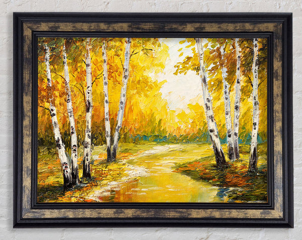 Yellow Silver Birch Walk Framed Print