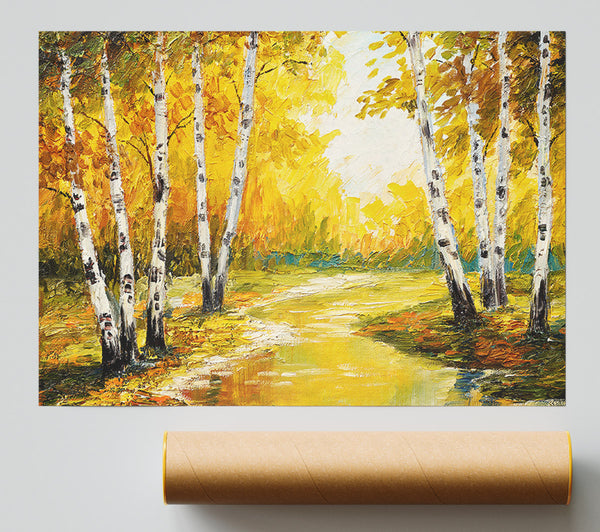 Yellow Silver Birch Walk Giclee Print