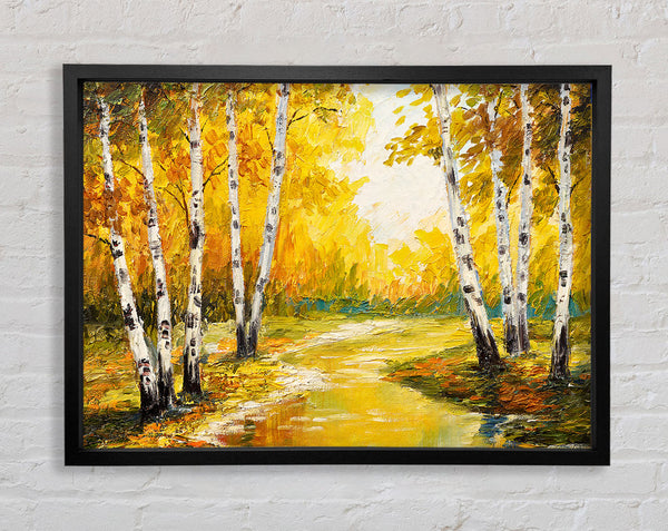 Yellow Silver Birch Walk Framed Print