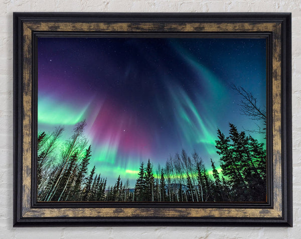 Skies Of Heaven Framed Print