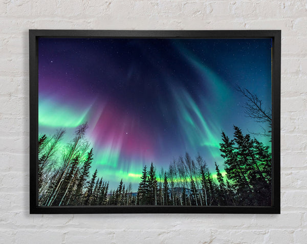 Skies Of Heaven Framed Print