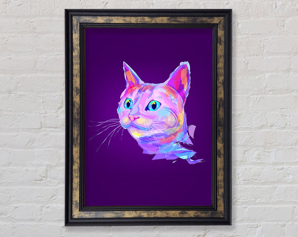 Rainbow Cat