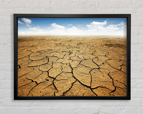 Signs Of Life Framed Print