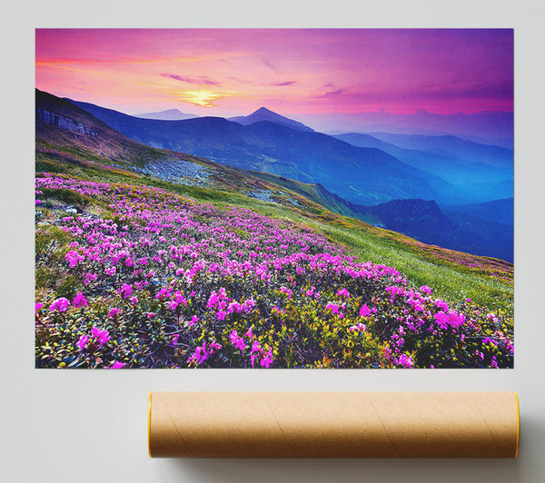 Pink Flower Mountain Top Print