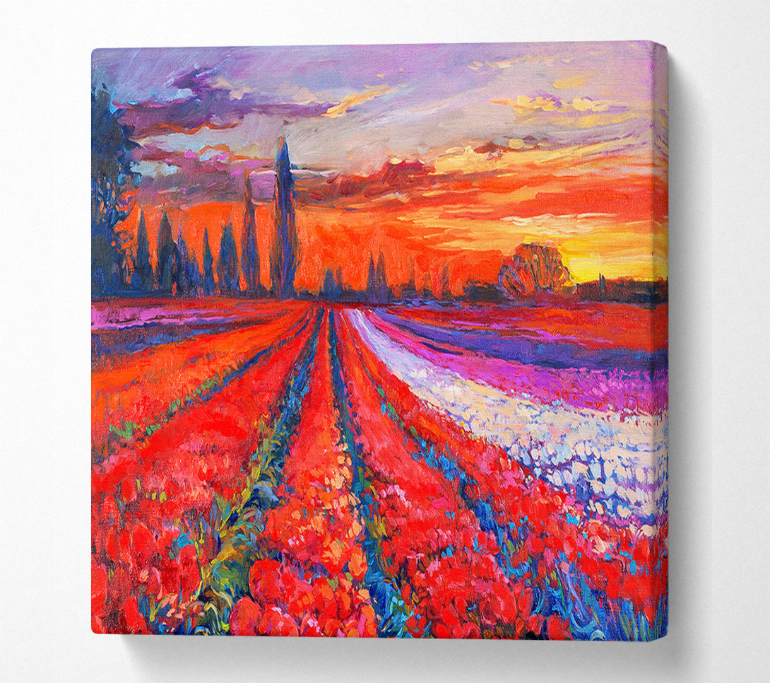  A Canvas Print of Red Tulip Field Sunset Canvas Print