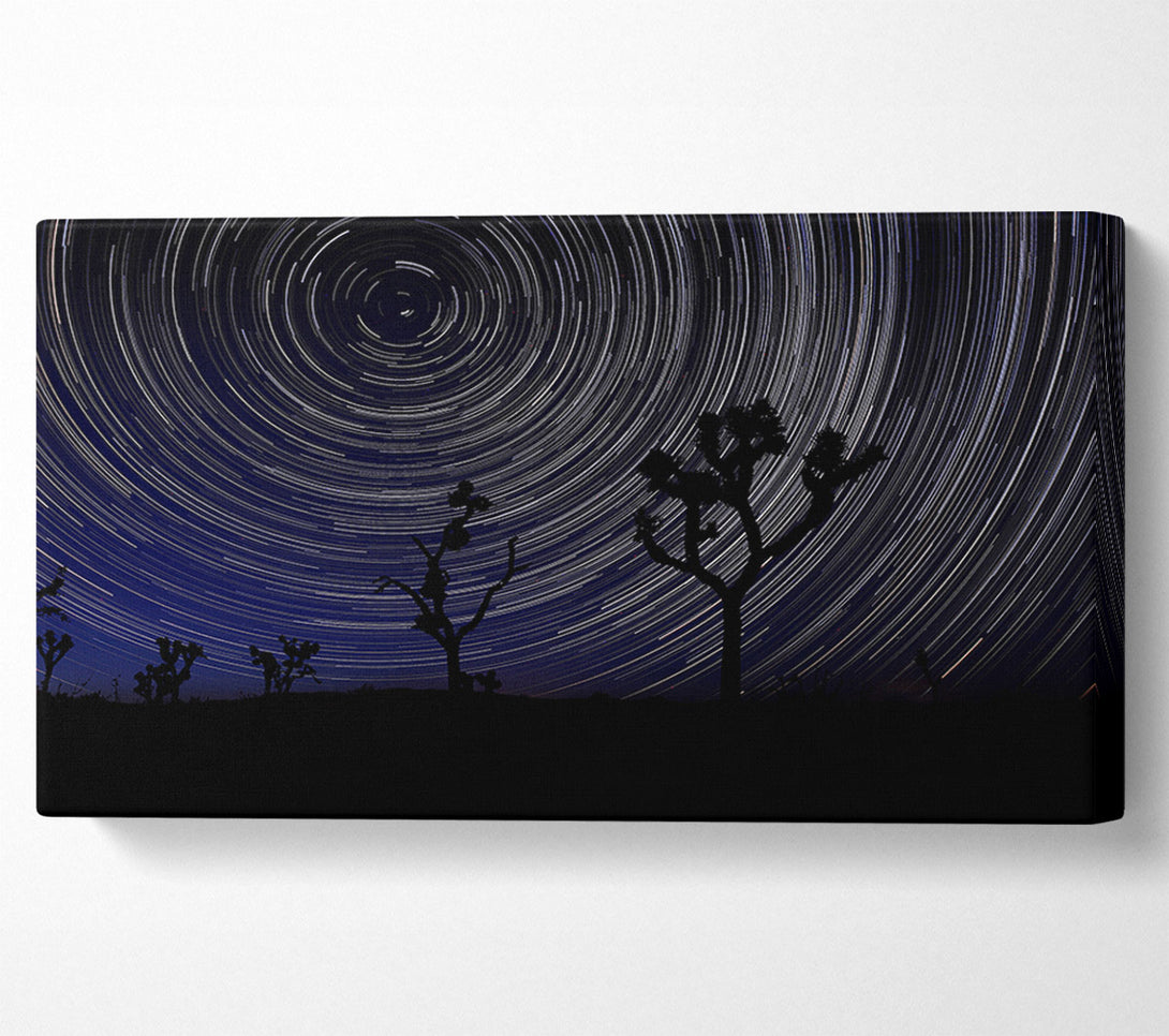  A Canvas Print of Vortex Trees 1 Canvas Wall Art